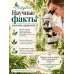 Чайного дерева эфирное масло натуральное