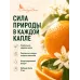 Апельсин эфирное масло натуральное "Ароматерапия", 10 мл