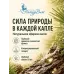 Кедр эфирное масло натуральное "Ароматерапия", 10 мл