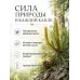 Сосна эфирное масло натуральное "Ароматерапия", 10 мл